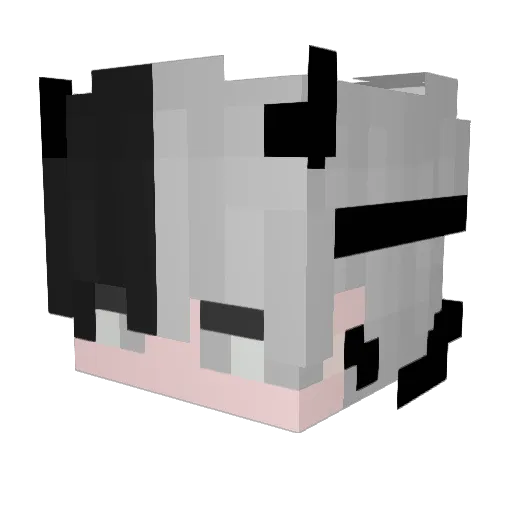 oluizxs Minecraft avatar head, 3D render