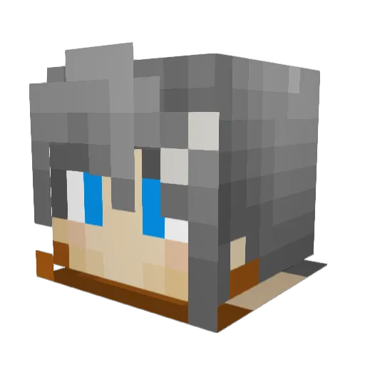 om3gakais3r Minecraft avatar head, 3D render