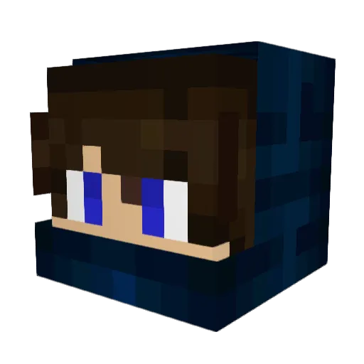 omaHONEY_BEE Minecraft avatar head, 3D render