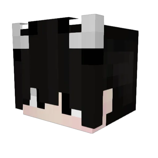 omarbarbar Minecraft avatar head, 3D render