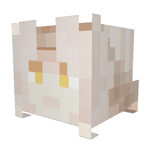 omariana Minecraft avatar head, 3D render