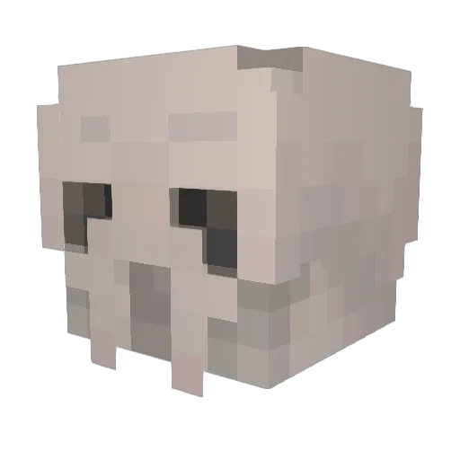 omarp562 Minecraft avatar head, 3D render