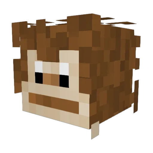 omegaIuI Minecraft avatar head, 3D render