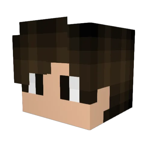 omega_3DS Minecraft avatar head, 3D render