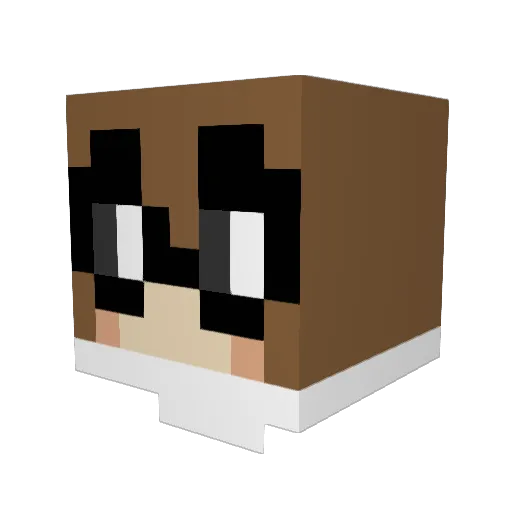 omegaguy101 Minecraft avatar head, 3D render