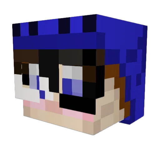 omegakids3 Minecraft avatar head, 3D render