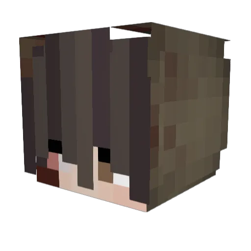 omegasxbr Minecraft avatar head, 3D render