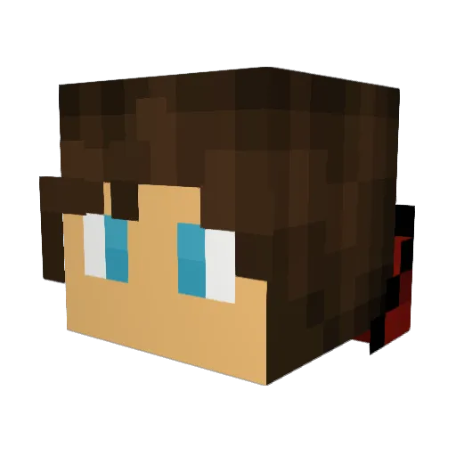 omfgmfo Minecraft avatar head, 3D render