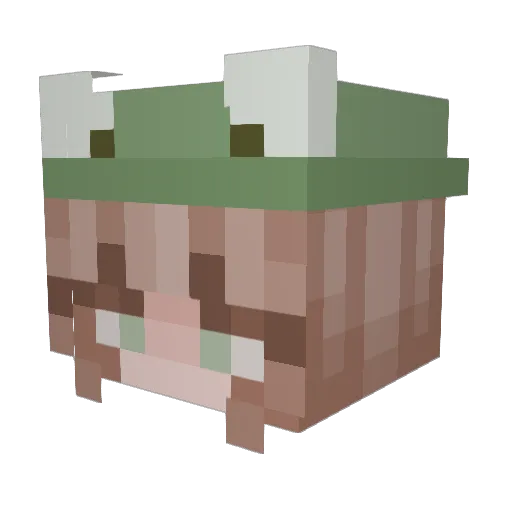 omg1tsw1ll Minecraft avatar head, 3D render