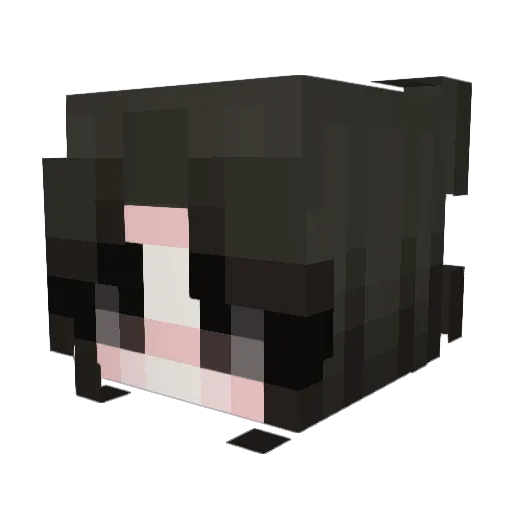 omgchipotle Minecraft avatar head, 3D render