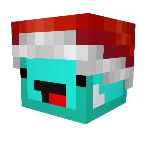 omgcreeper10 Minecraft avatar head, 3D render