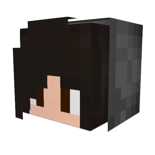 omgggg Minecraft avatar head, 3D render