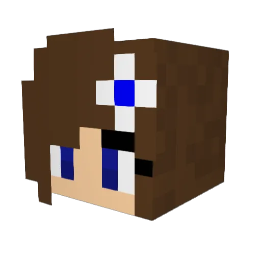 omglolsf Minecraft avatar head, 3D render