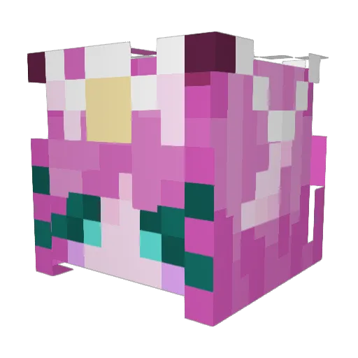 omiomiomi Minecraft avatar head, 3D render