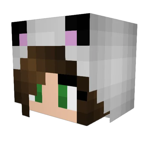 omit01 Minecraft avatar head, 3D render