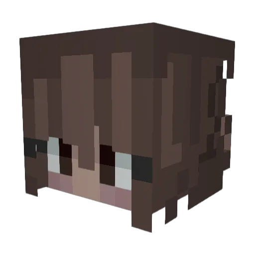 omniOi_ Minecraft avatar head, 3D render
