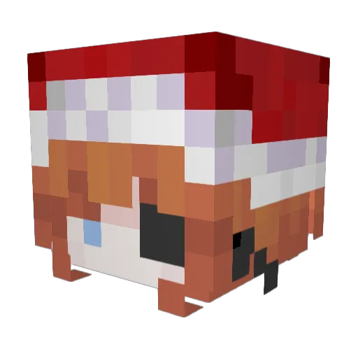 omnia_n Minecraft avatar head, 3D render