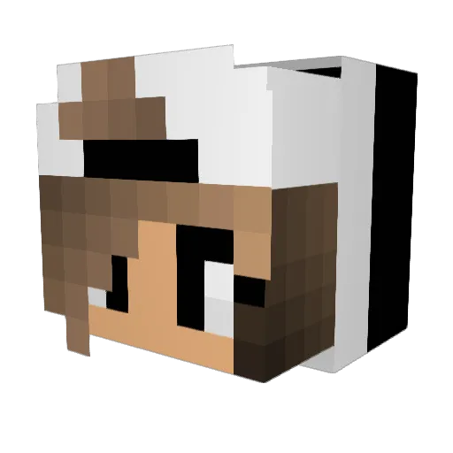 omnompotato Minecraft avatar head, 3D render