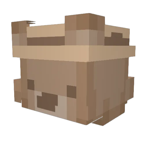 omochi91 Minecraft avatar head, 3D render