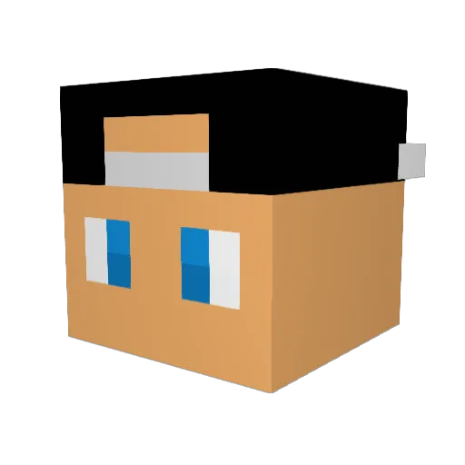omri101 Minecraft avatar head, 3D render