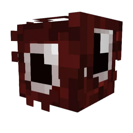 omri_tal_hi Minecraft avatar head, 3D render