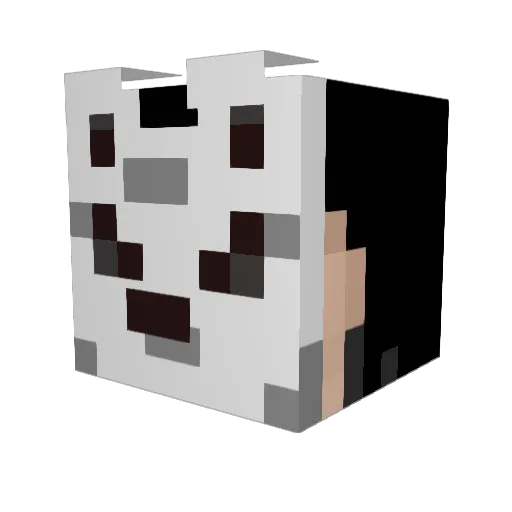 omusubi0507 Minecraft avatar head, 3D render