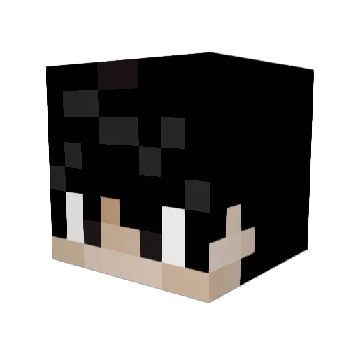 omwtfyblol Minecraft avatar head, 3D render