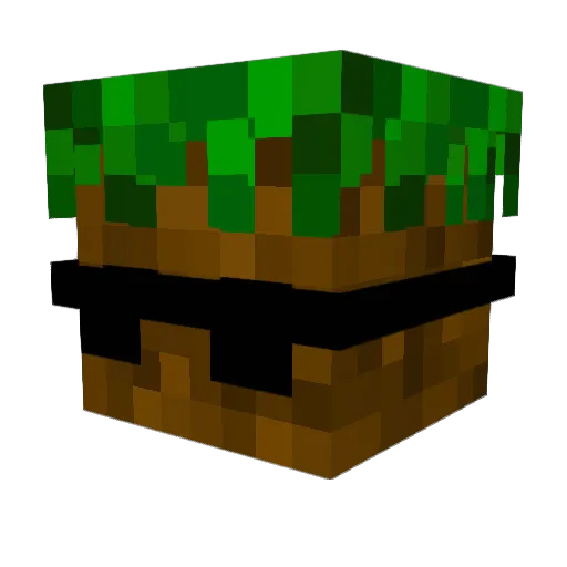 omy181 Minecraft avatar head, 3D render