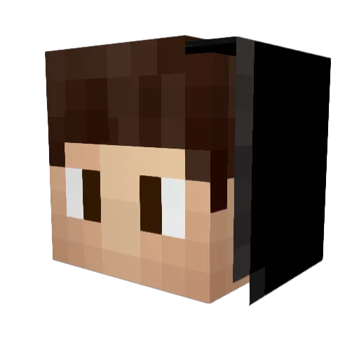 on04 Minecraft avatar head, 3D render