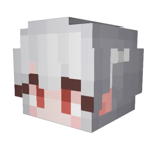 on2u_ Minecraft avatar head, 3D render