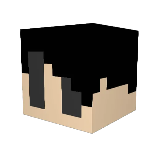 on5fps Minecraft avatar head, 3D render