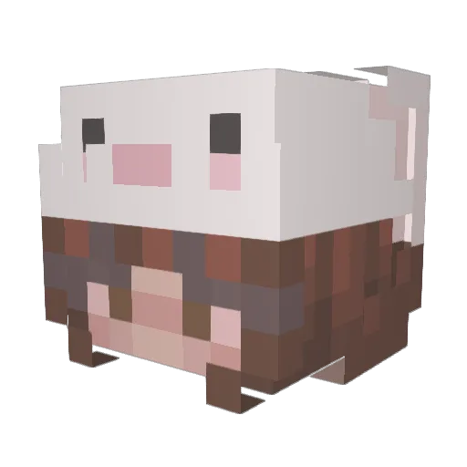 on_candy Minecraft avatar head, 3D render