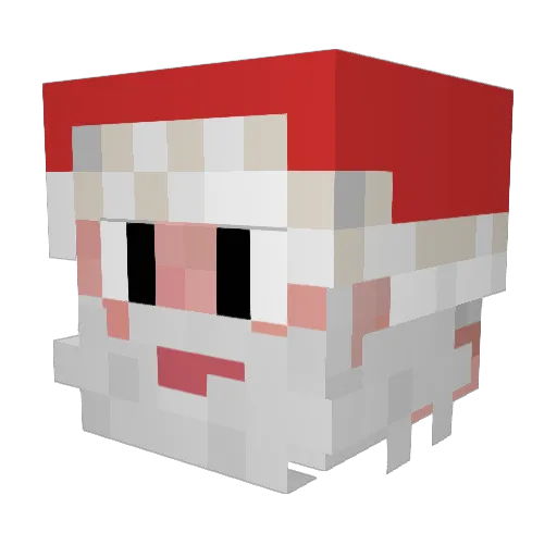 on_mi_cide Minecraft avatar head, 3D render