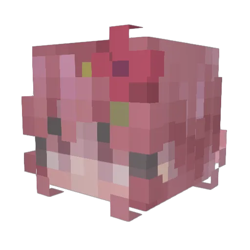 ona6ona Minecraft avatar head, 3D render