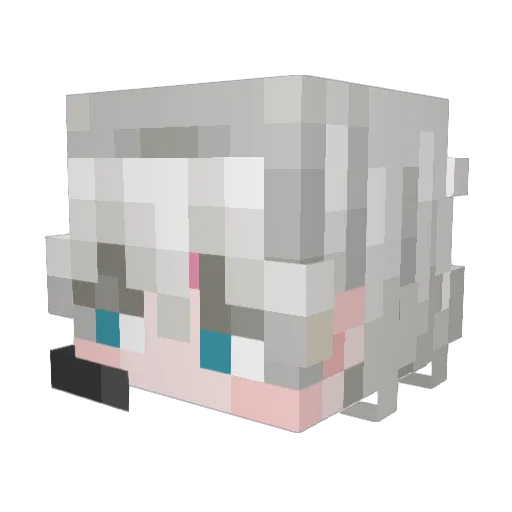 onaite Minecraft avatar head, 3D render