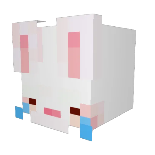 onakapeko Minecraft avatar head, 3D render