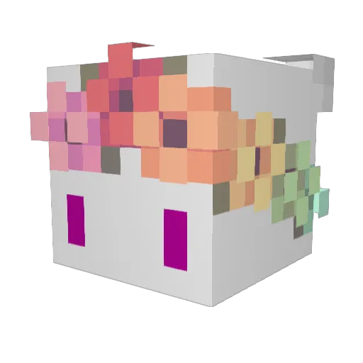 ondar2 Minecraft avatar head, 3D render