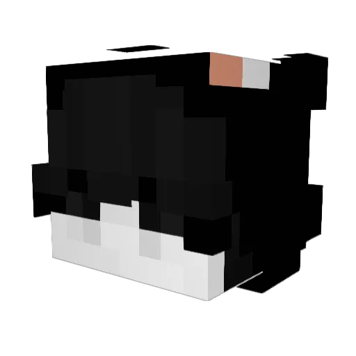 ondraaaa Minecraft avatar head, 3D render