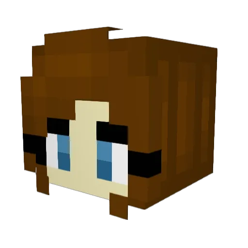 one1010 Minecraft avatar head, 3D render