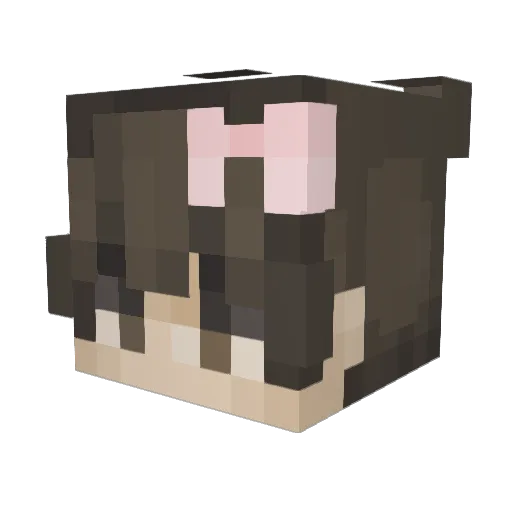 one7_ Minecraft avatar head, 3D render