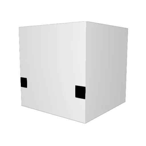 oneFlo Minecraft avatar head, 3D render