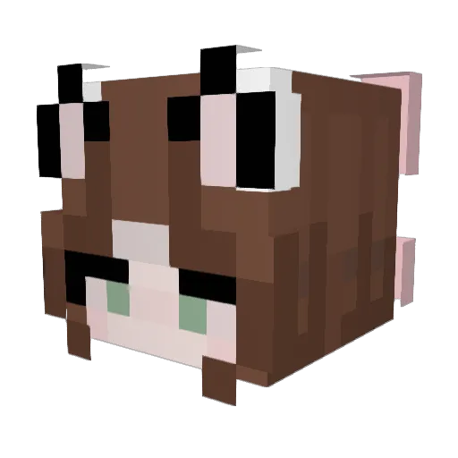 one_kitty Minecraft avatar head, 3D render
