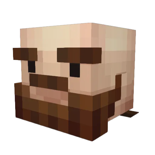 onecanshort Minecraft avatar head, 3D render