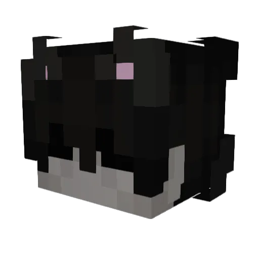 onepaw Minecraft avatar head, 3D render