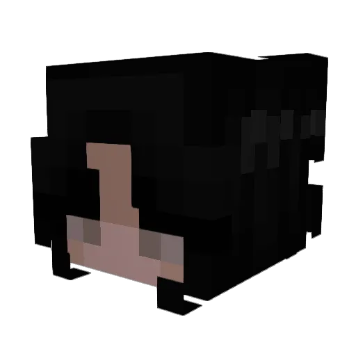 onerva0 Minecraft avatar head, 3D render