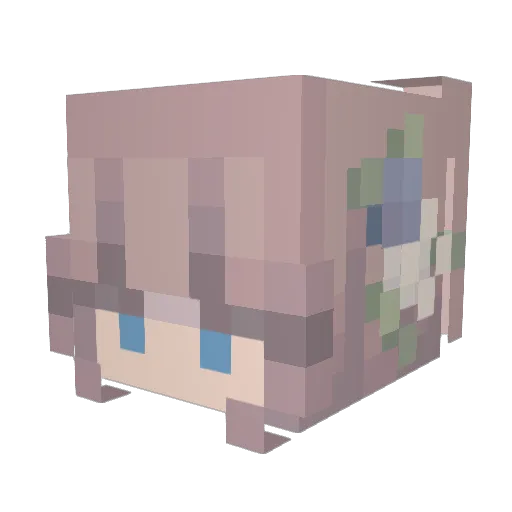 oneshoeshort Minecraft avatar head, 3D render