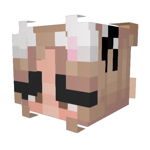 oneze123 Minecraft avatar head, 3D render