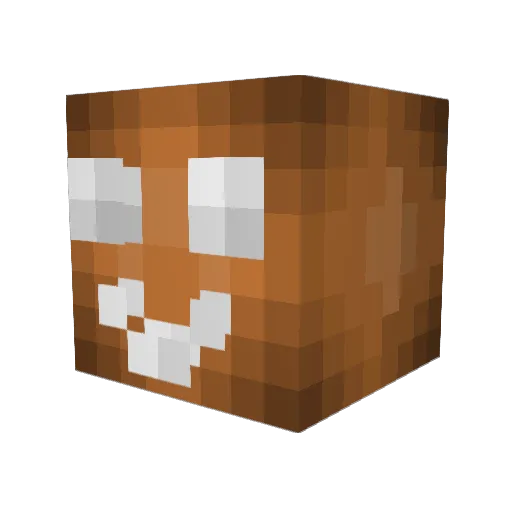 onfecz Minecraft avatar head, 3D render