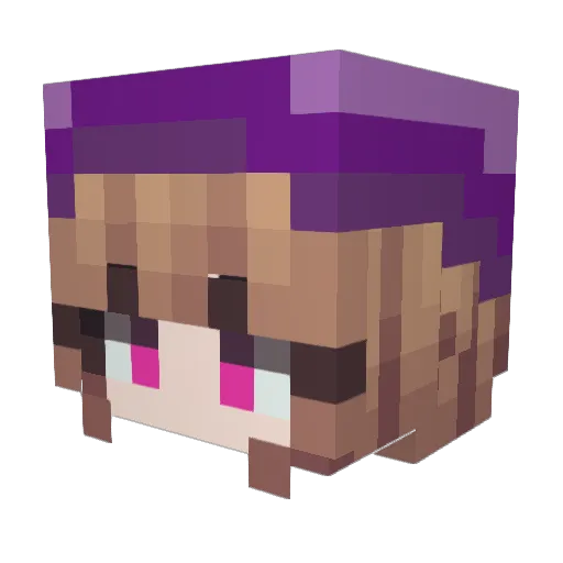 onia04 Minecraft avatar head, 3D render