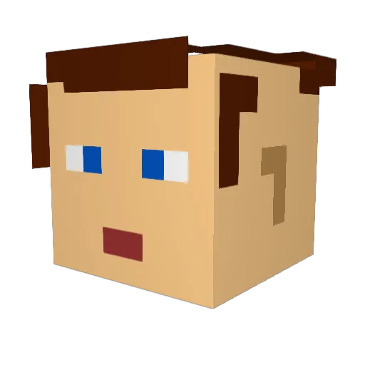 onilink67 Minecraft avatar head, 3D render
